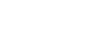 logo footer